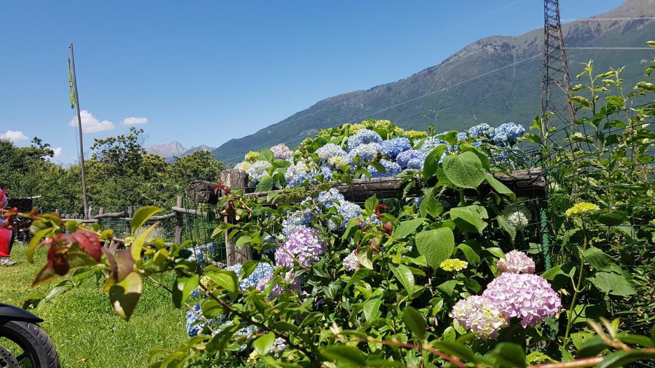 Agriturismo Volpe Golosa Морбеньо Екстериор снимка